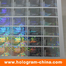 Sicherheits-DOT Matrix Transparente Seriennummer Hologramm-Aufkleber
